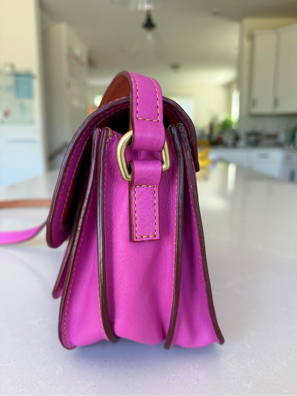 Dooney & Bourke Violet Florentine Leather Crossbody Bag - Picture 8 of 14